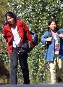 亚洲fuli在线观看